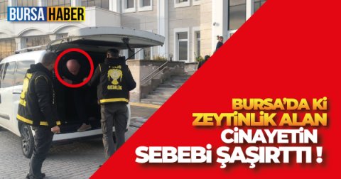 Bursa'da zeytinlik alandaki cinayetin zanlısı teslim oldu