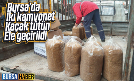 İki kamyonet kaçak tütün ele geçirildi