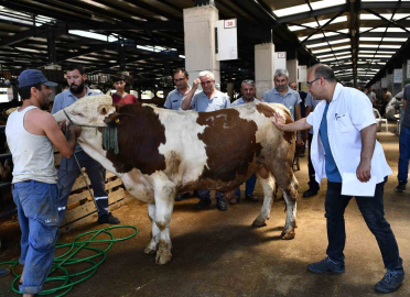 Osmangazi Belediyesi Kurban Bayramına hazır