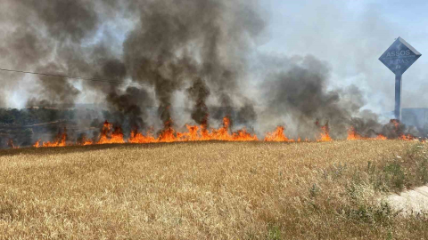 Çanakkale’de tarım alanında başlayan yangın ormanlık alana ilerliyor