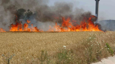 Çanakkale Valiliği’nden hava sıcaklığı ve orman yangını uyarısı