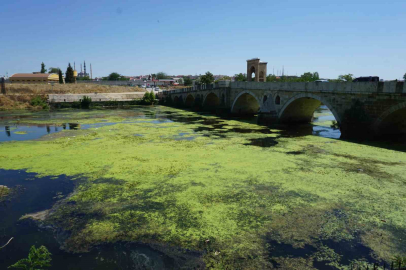 Edirne’de Tunca Nehri yeşile büründü