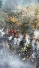 Kağıthane’de otluk alanda yangın: Dumanlar gökyüzünü kapladı, panik yaşandı