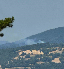 Dursunbey’de arazide çıkan yangın ormana sıçradı