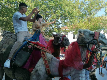 Gelin ve damat deve üzerinde Manyas turu yaptı