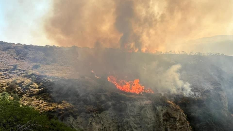 Şarköy’de otluk alanda yangın