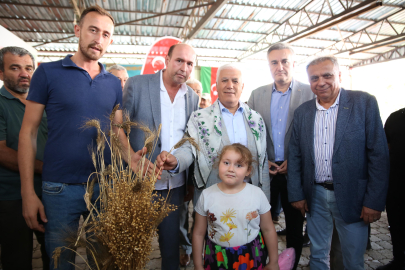 Büyükşehir ‘siyez buğdayı’ desteğiyle çiftçinin yanında