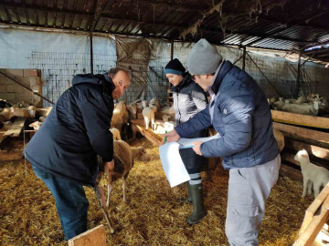 Kırklareli’de küçük ve büyükbaş hayvanların kontrolleri yapıldı