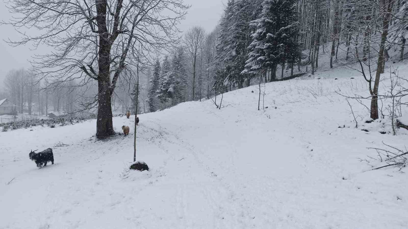 bahar ayinda sakaryanin yuksek kesimlerinde lapa lapa kar yagiyor 2 1gkTMstJ