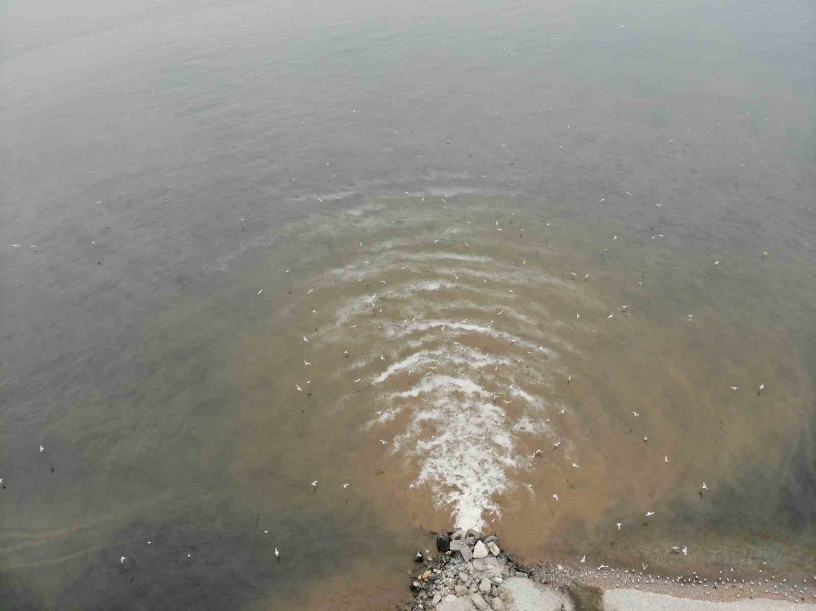 beylikduzunde kanalizasyon sularinin denize aktigi yerde deniz kahverengi dondu 3